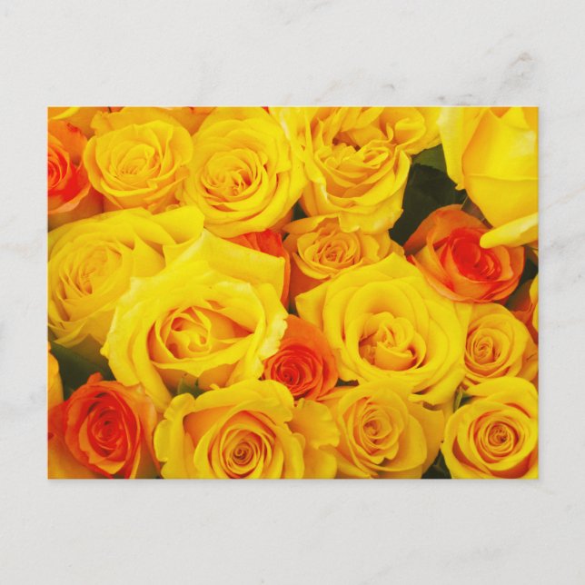 Carte Postale Roses Jaunes Paris (Devant)