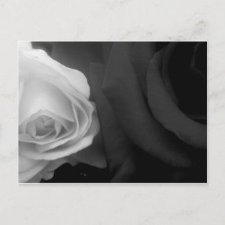 Carte Postale Roses noires et blanches