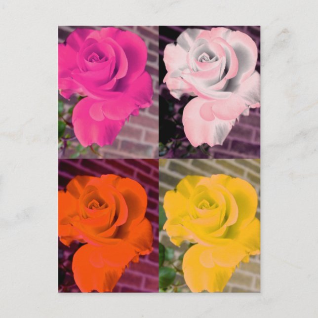 Carte Postale Roses répétés multi Rainbow Girly (Devant)