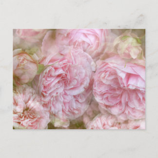 Carte Postale Roses romantiques