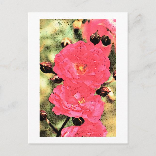 Carte Postale Roses roses (Devant)