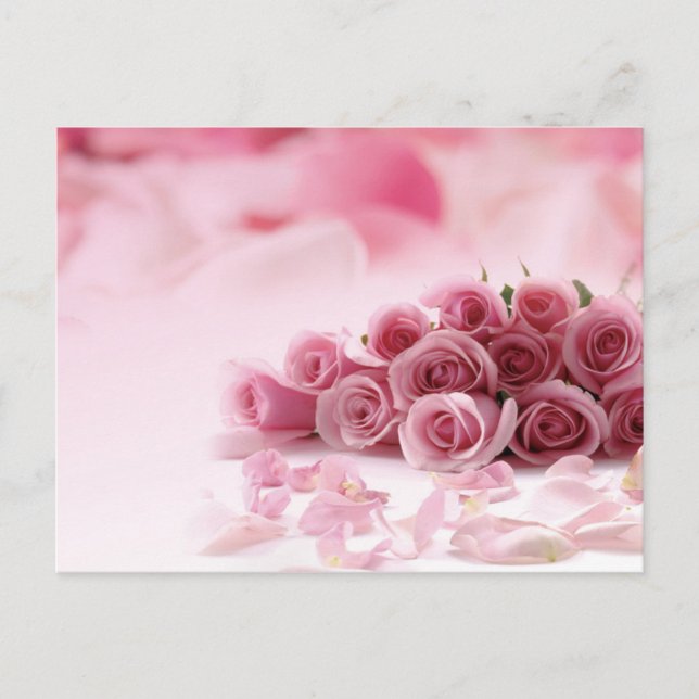 Carte Postale Roses roses - Florales (Devant)