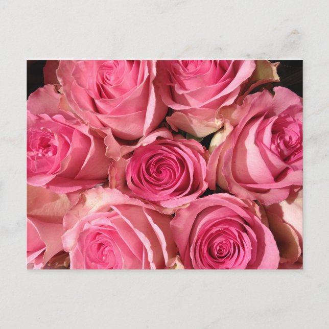 Carte Postale Roses roses roses (Devant)