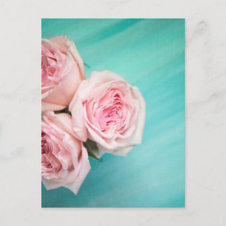 Carte Postale Roses roses roses et arrière - plan turquoise