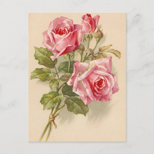 Carte Postale Roses roses vintages (Devant)