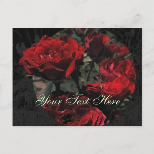 Carte postale Roses rouges (Devant)