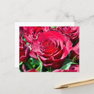 Carte postale Roses rouges