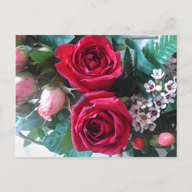 Carte postale Roses rouges (Devant)