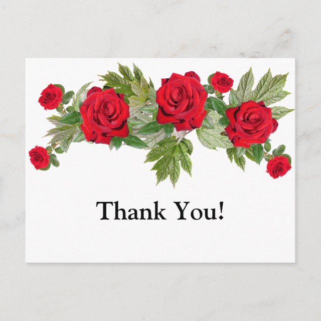 Carte Postale Roses Rouges 3 Merci Diplôme (Devant)