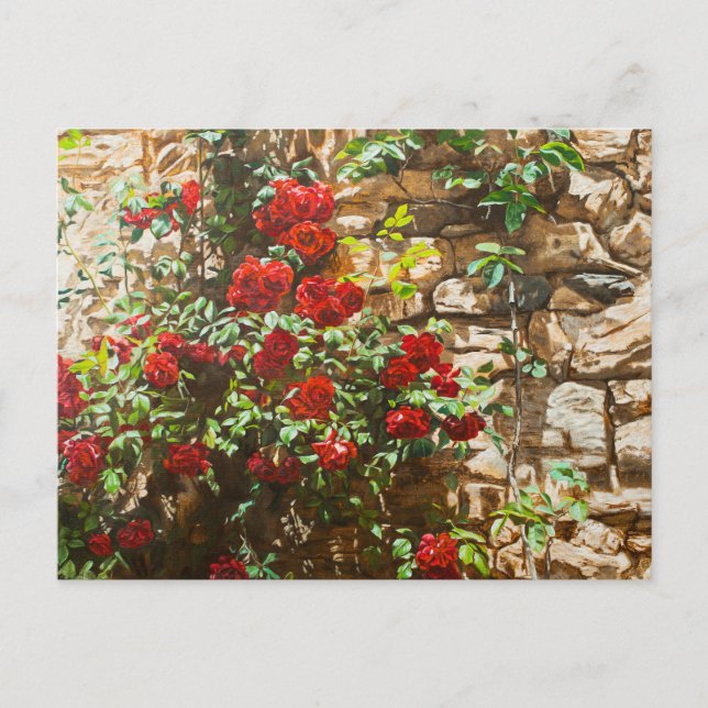 Carte Postale Roses rouges contre un mur de pierre (Devant)