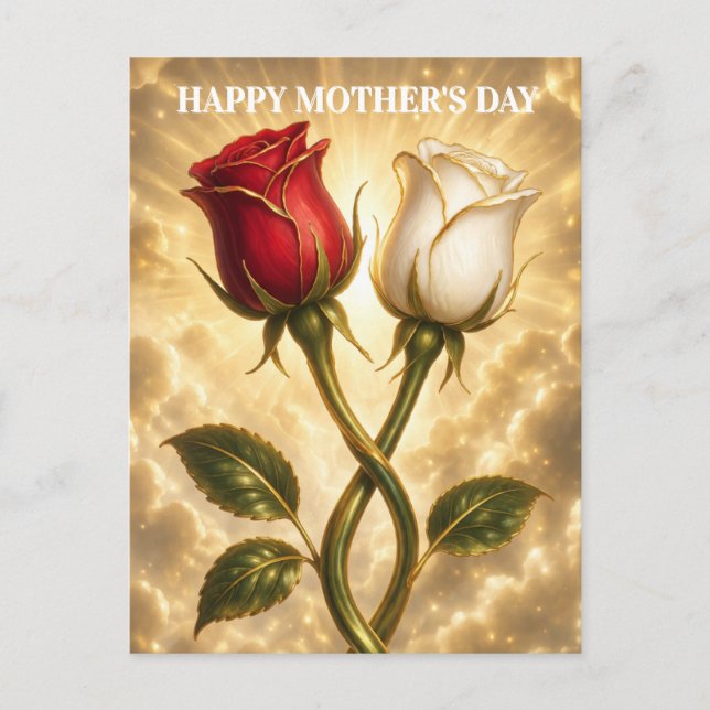 Carte Postale Roses rouges et blanches entrelacées. (Devant)