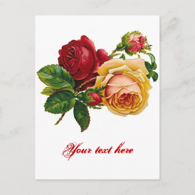 Carte Postale Roses rouges et jaunes (Devant)