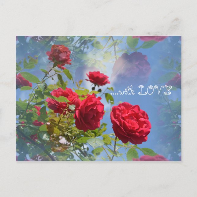 Carte Postale Roses rouges pour toi ... (Devant)