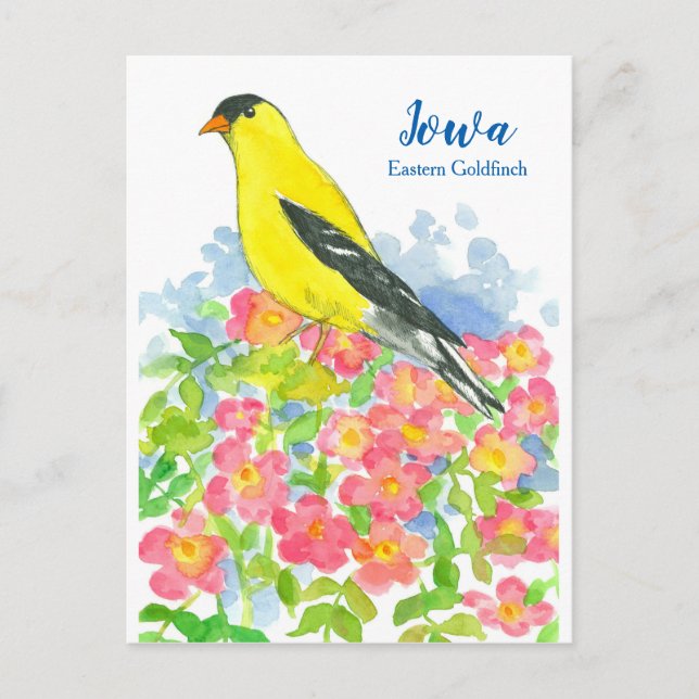 Carte Postale Roses sauvages roses de l'Iowa Eastern Goldfinch (Devant)