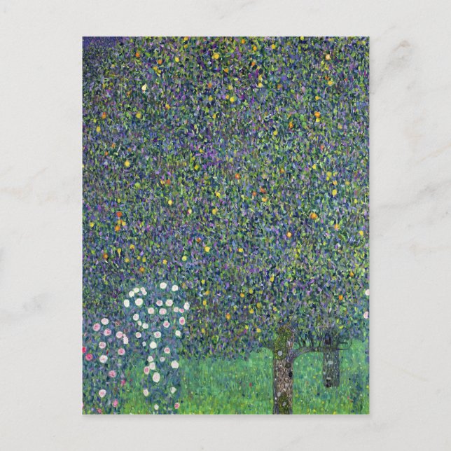 Carte Postale Roses sous les arbres, c.1905 (Devant)