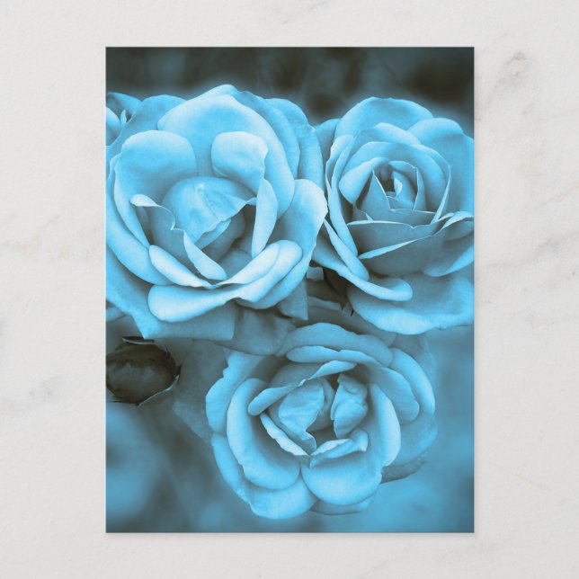Carte Postale Roses Vintages bleus (Devant)
