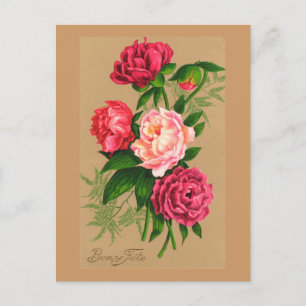 Carte Postale Roses Vintages florales roses