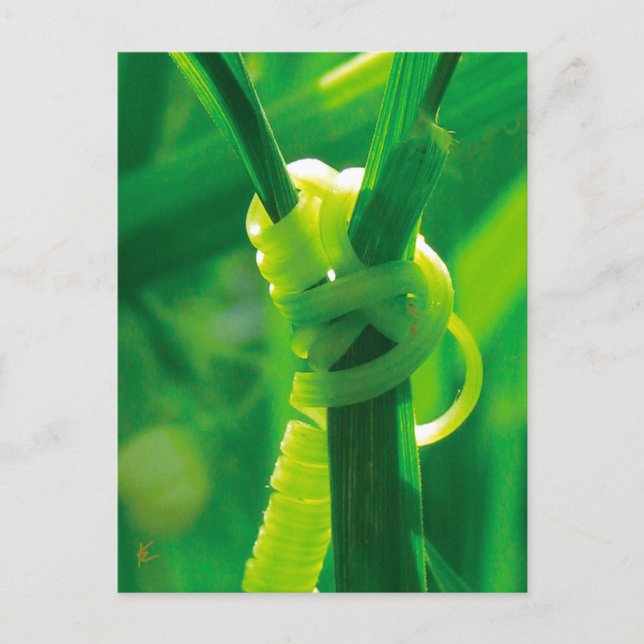 Carte Postale Rosie le Riveter Sweet Pea Vine Encouragement (Devant)