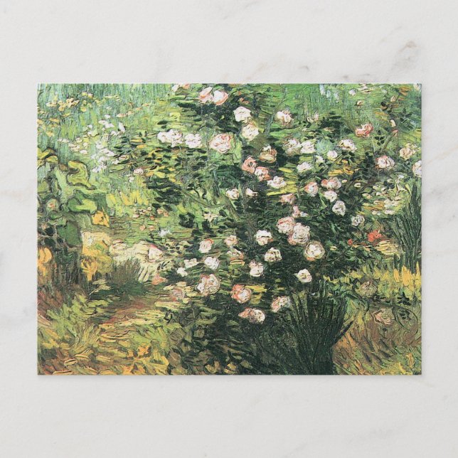 Carte Postale Rosier en fleurs de Vincent van Gogh (Devant)