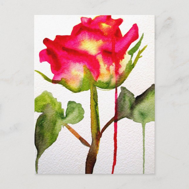 Carte Postale Rosier thé hybride aquarelle art floral moderne (Devant)