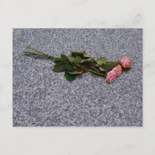 Carte Postale rosiers roses qui sèchent