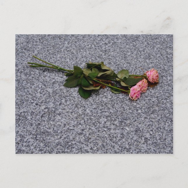 Carte Postale rosiers roses qui sèchent (Devant)