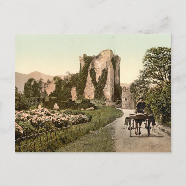 Carte Postale Ross Castle II, Killarney, comté de Kerry (Devant)