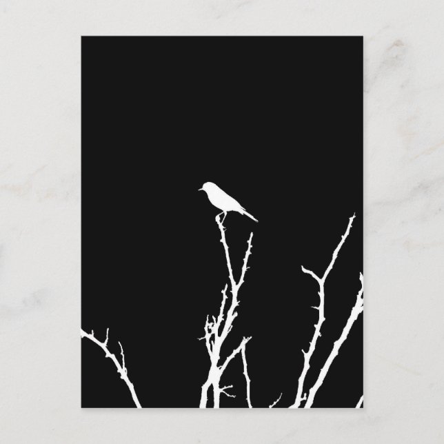 Carte Postale Rossignol de Nuit (Devant)