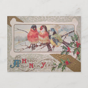 Carte Postale Rossignol Holly Snow