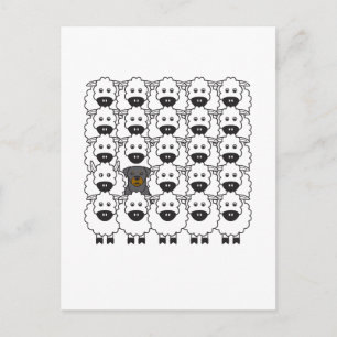 Carte Postale Rotation dans le mouton