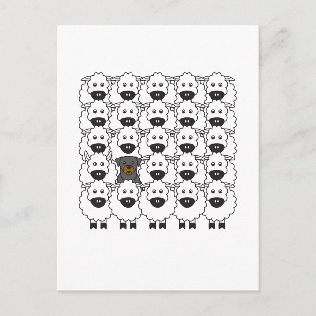 Carte Postale Rotation dans le mouton (Devant)