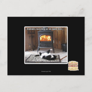 Carte Postale Rôti de noix