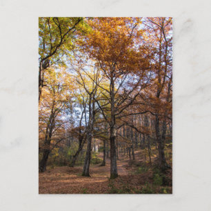 Carte Postale Rotino, Macédoine