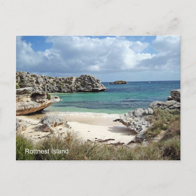 CARTE POSTALE - Rottnest Island West Australia (Devant)