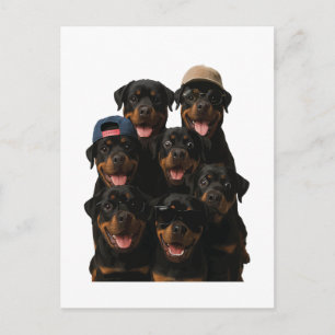 Carte Postale Rottweiler