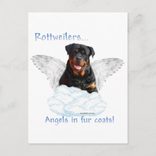 Carte Postale Rottweiler Angel