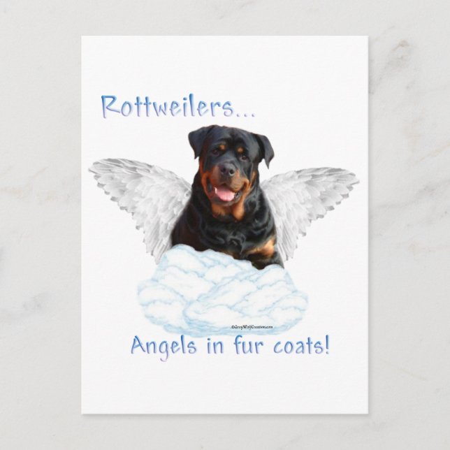 Carte Postale Rottweiler Angel (Devant)