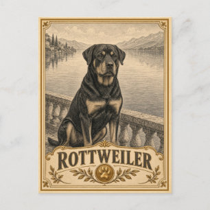 Carte Postale Rottweiler, Chien du Patrimoine Vintage