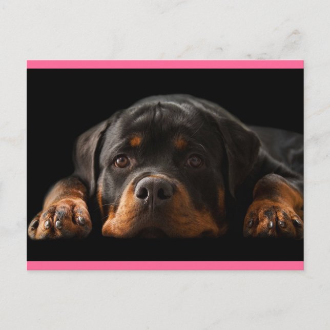Carte Postale Rottweiler Puppy Dog Greeting (Devant)