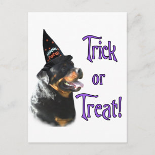 Carte Postale Rottweiler Trick