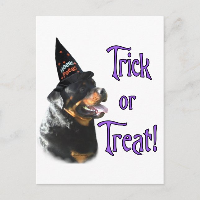 Carte Postale Rottweiler Trick (Devant)