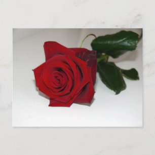 Carte postale rouge