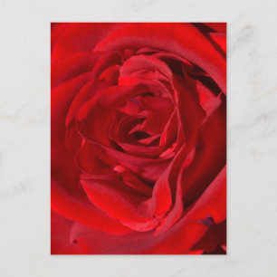 Carte postale Rouge brillant