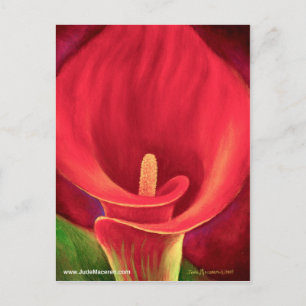 Carte Postale Rouge Cala Lily Tropical Flower Art - Multi