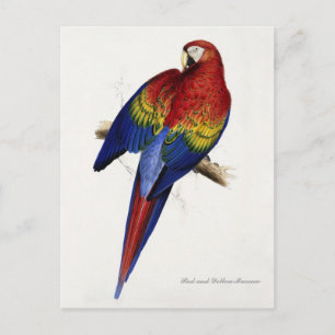 Carte postale rouge et jaune
