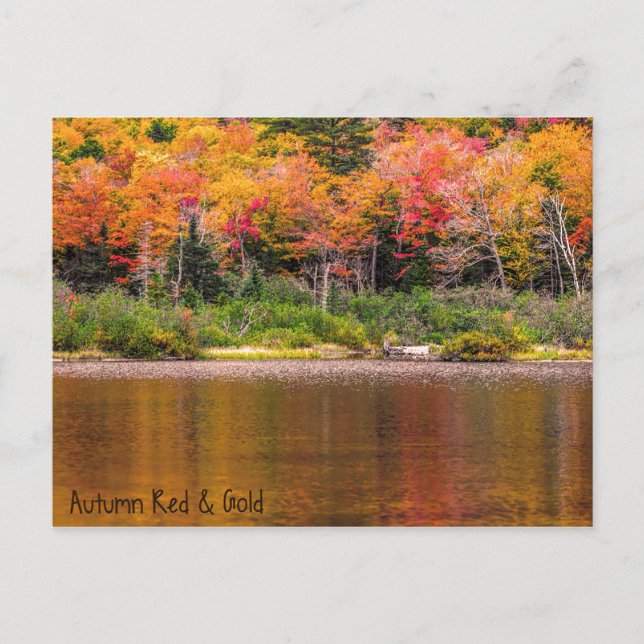 Carte postale rouge et or automne (Devant)
