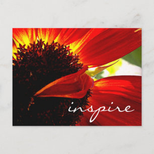 Carte Postale Rouge Gerbera Fleur marguerite Inspiration Script 