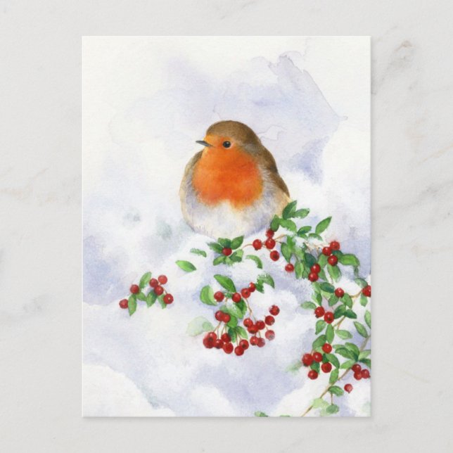 Carte postale - Rouge-gorge de Noël (Devant)