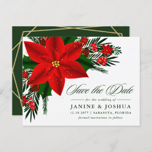 Carte Postale Rouge Poinsettia Pine Verdure Mariage Enregistrer