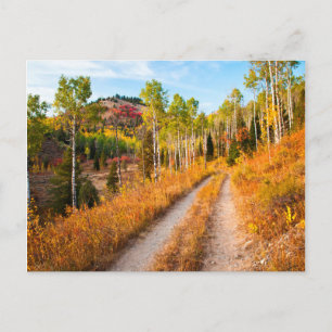 Carte Postale Route à travers les couleurs d'automne